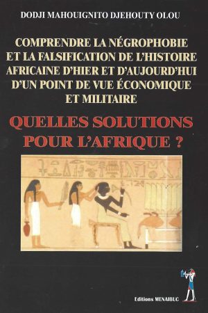 COMPRENDRE LA NEGROPHOBIE ET LA FALSIFICATION DE L'HISTOIRE AFRICAINE D'HIER ET D'AUJOURD'HUI D'UN POINT DE VUE ECONOMIQUE ET MILITAIRE