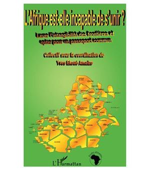 L'afrique est-elle incapable de s'unir ?
